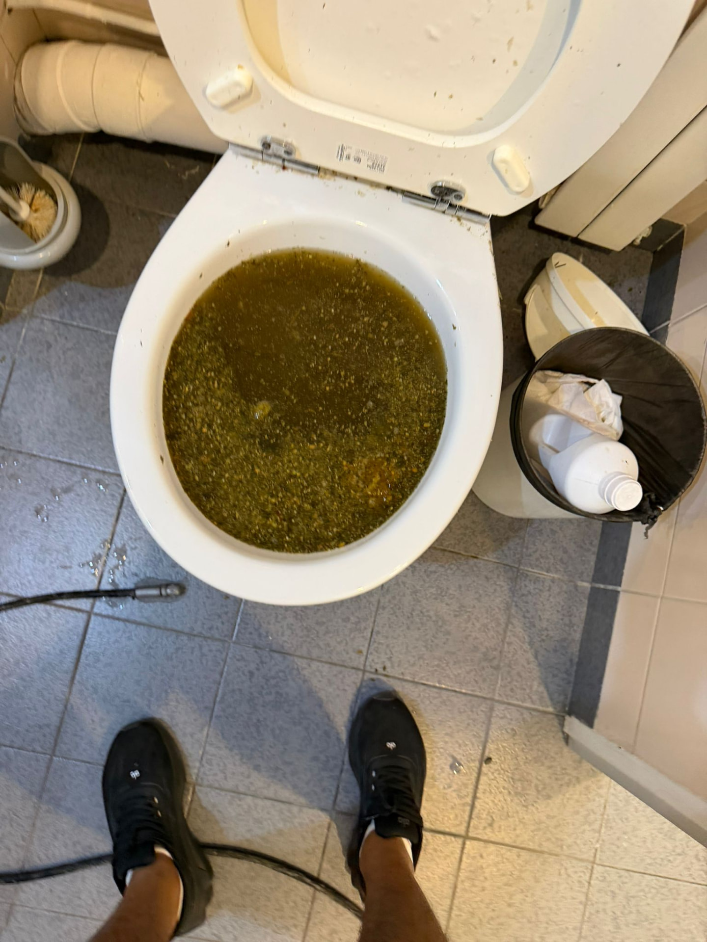 Débouchage de toilettes contenant des eaux usées